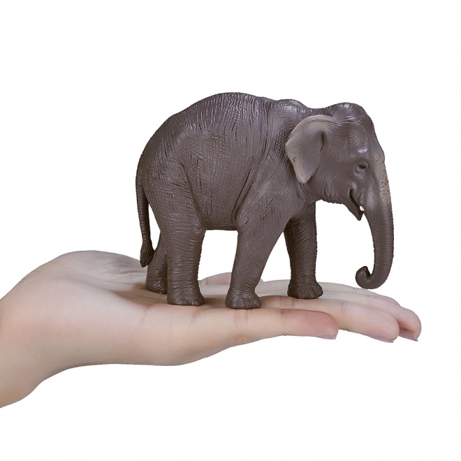 Mojo Indisk Elefant