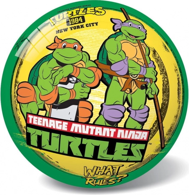 Ninja Turtles retro bold 23 cm