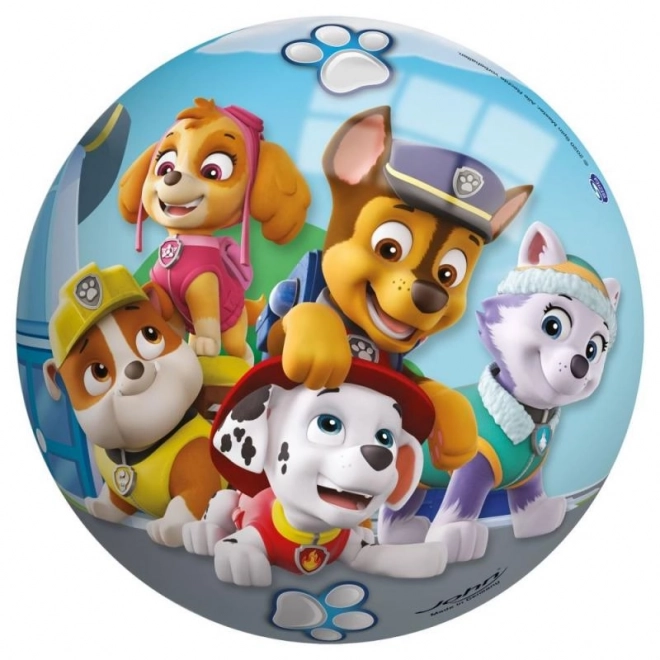 Paw Patrol Bold 230mm