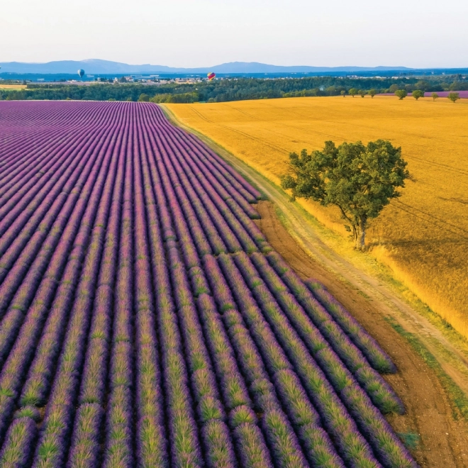 Note kalender Provence 2026