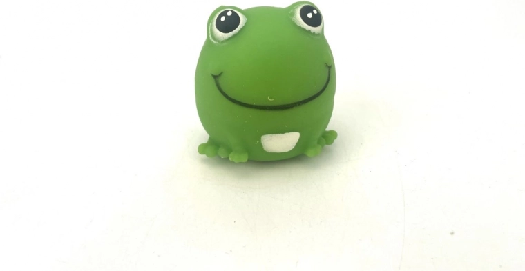 Frø til sjov og fokus