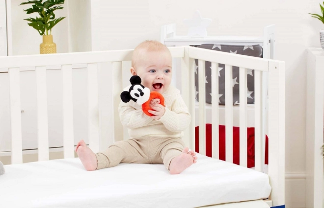 Den elskede figur MICKEY MOUSE