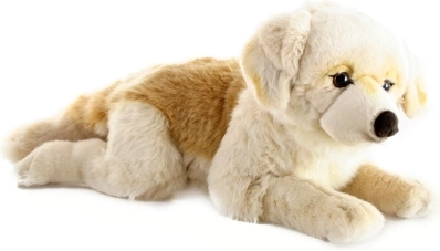 Stor plyshund retriever 55 cm