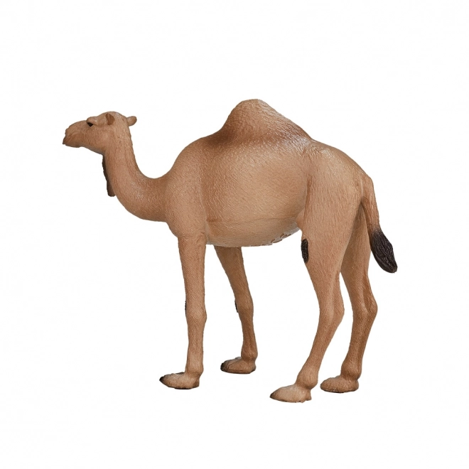 Mojo Animal Planet Én-puklet Kamel