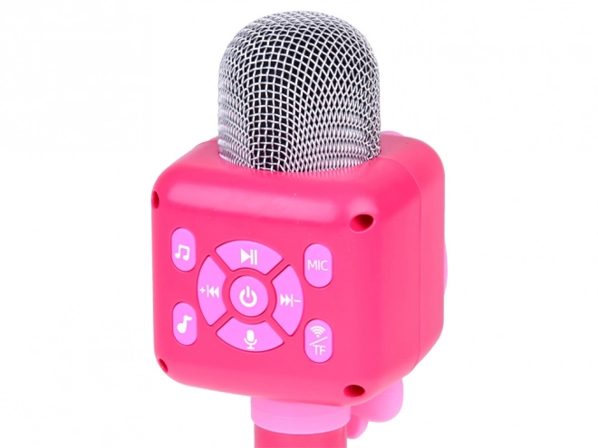Trådløs mikrofon karaoke til børn