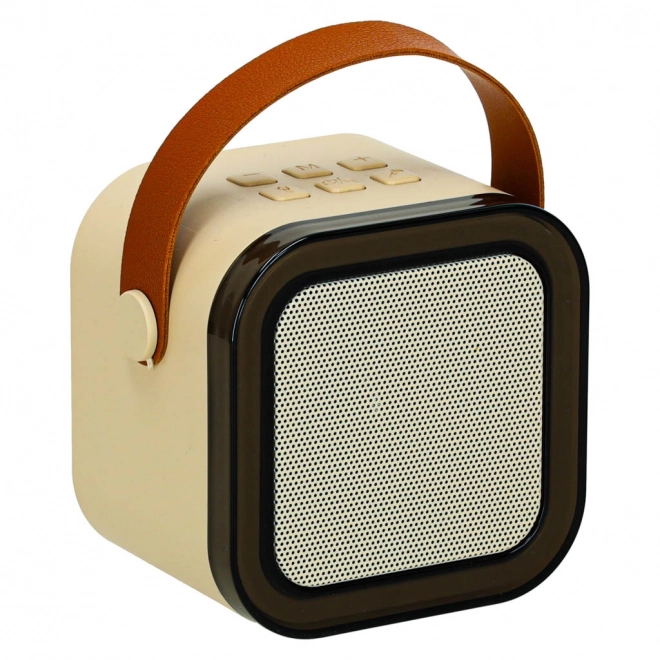 Karaoke sæt 2 mikrofoner + bærbar højttaler BLUETOOTH USB LED beige farve