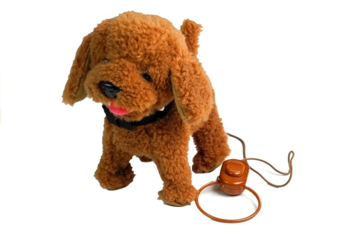 Interaktiv hund Hund i snor Brun puddel