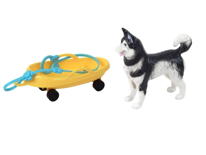 Husky hund som trofast følgesvend
