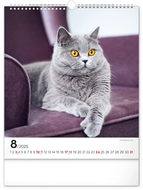 Vægkalender Katte 2025, 30 × 34 cm
