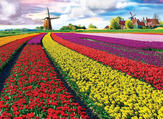 EUROGRAPHICS puslespil tulipanmark – 1000 brikker