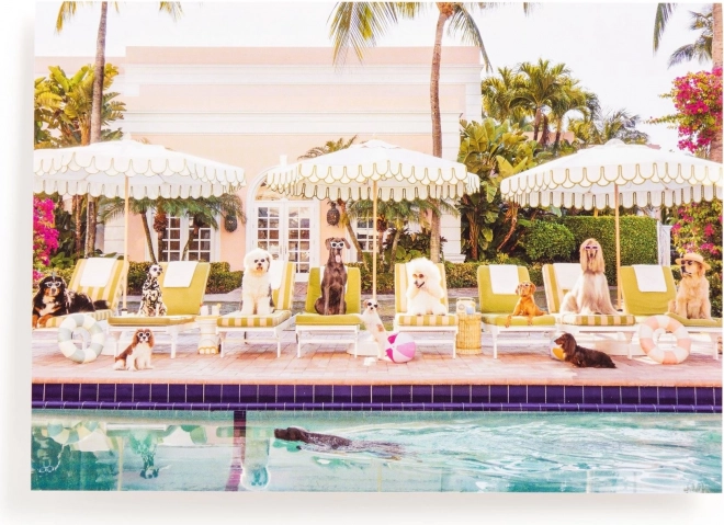 Puslespil Ved poolen i Palm Beach 1000 brikker
