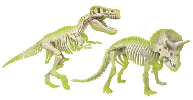 Lysende dinosaurskeletter