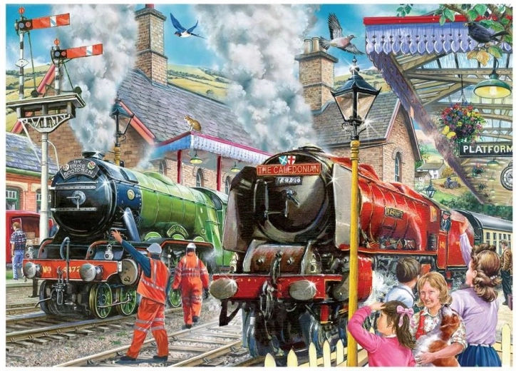 Puzzle House of Puzzles Afgang af tog 1000 brikker