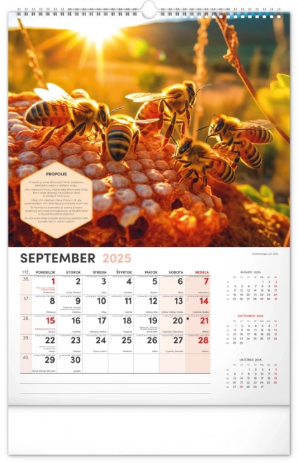NOTIQUE Vægkalender for Biavl 2025, 33 x 46 cm