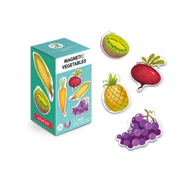Magnetisk spil Frugt DODO