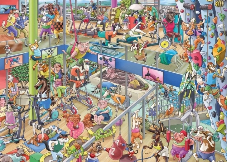 Puzzle HEYE dyregymnastiksal – 1000 brikker