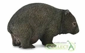 Wombat bjørnelignende Collecta
