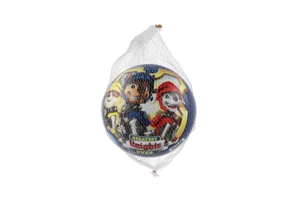Blåt Paw Patrol bold