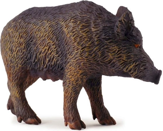 Vildsvin – so COLLECTA