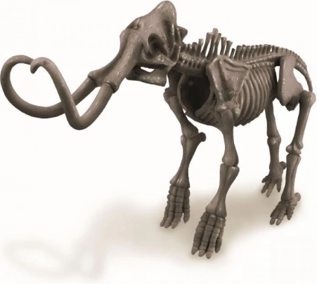 Samlbart model-skelet af mammut