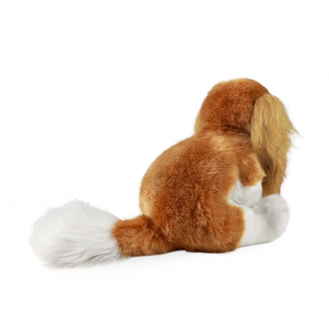 Bamse hund Cavalier King Charles Spaniel miljøvenlig