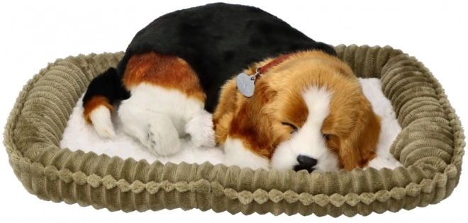 Åndende Beagle Hvalp Perfect Petzzz