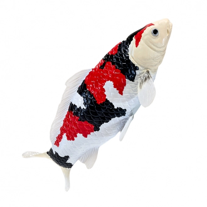 Mojo karpe koi showa sanshoku