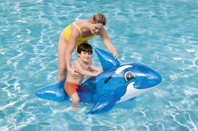 Flydende delfin med håndtag Transparent 1,57 m x 94 cm