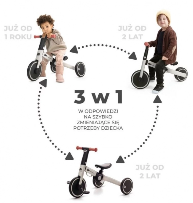 Tre-hjulet cykel 4TRIKE SØLVGRÅ