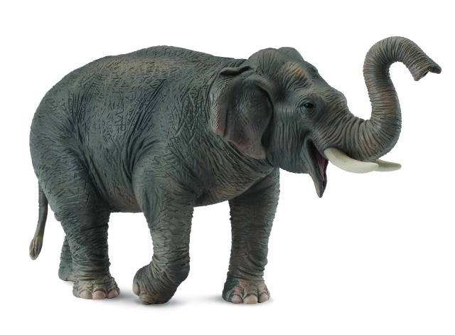 Asiatisk elefant
