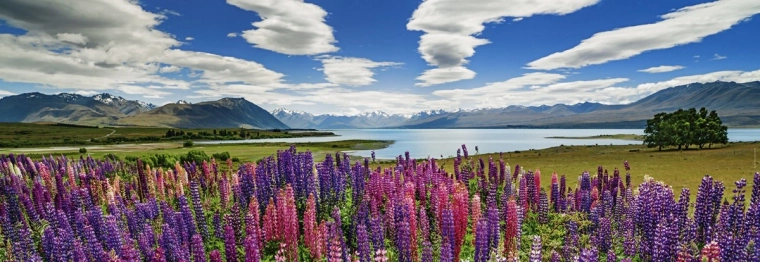 Betagende newzealandsk landskab