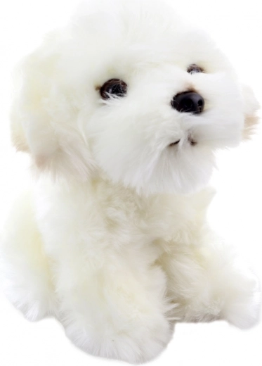 Realistiske detaljer på en nuttet hvalp