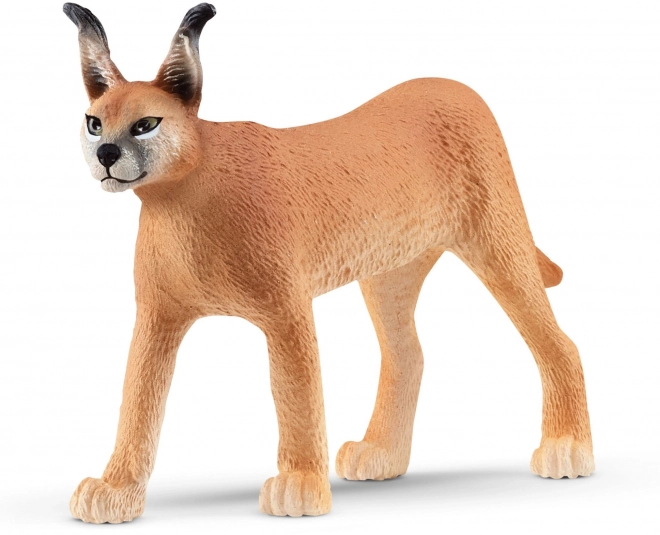 Figur Kvindelig Karakal