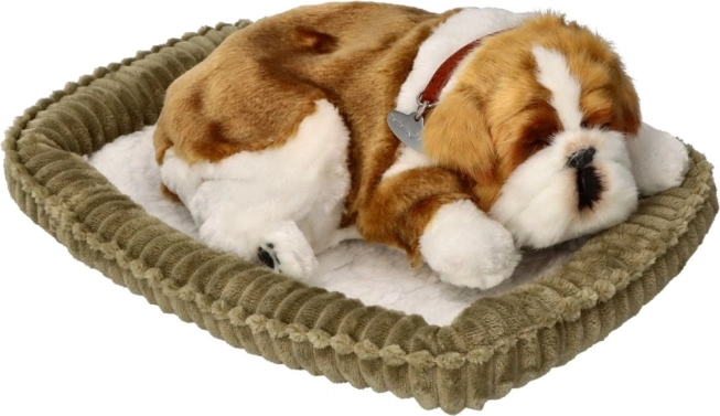 Åndende bulldog-hvalp