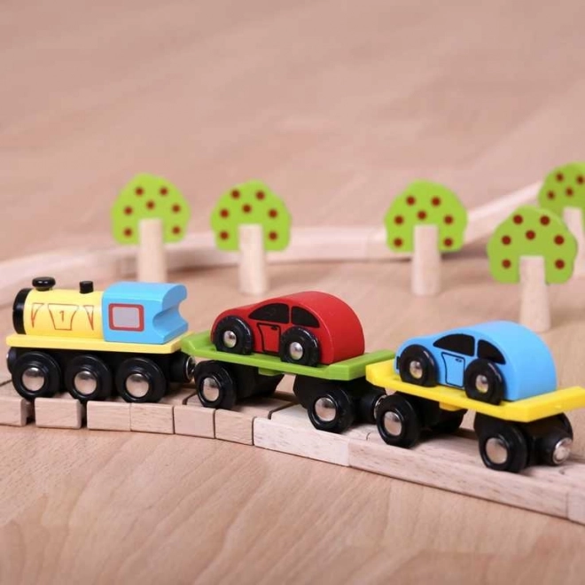 Bigjigs Rail Godstog med biler og skinner