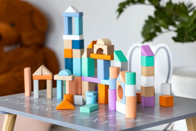 Træklodser 100 stk i spand med sorter Ecotoys