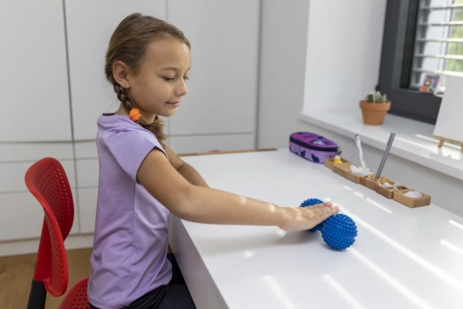 Sort duoball massage rulle