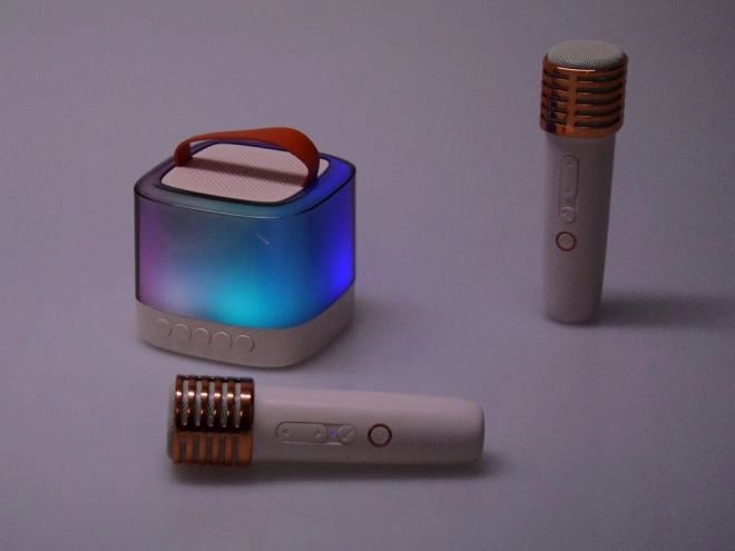 Mikrofon med trådløs højttaler og Bluetooth