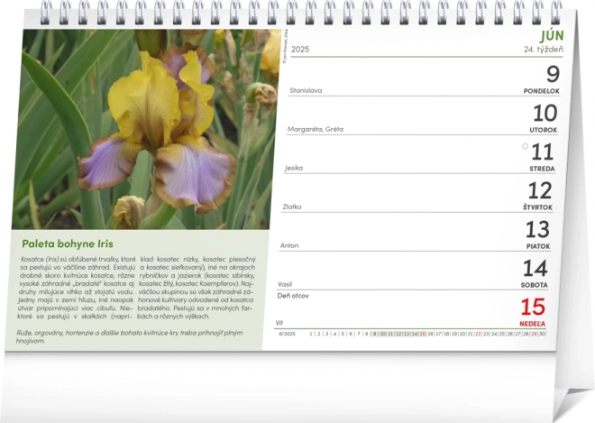 NOTIQUE Bordkalender Haveentusiast 2025, 23,1 x 14,5 cm