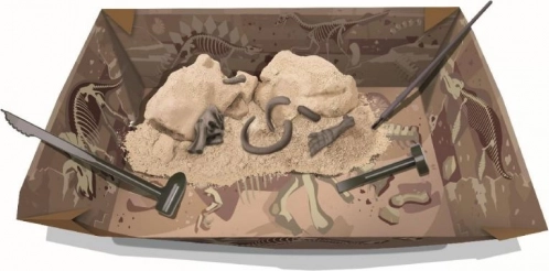 Grav frem og opdag: gipsblok med fossiler