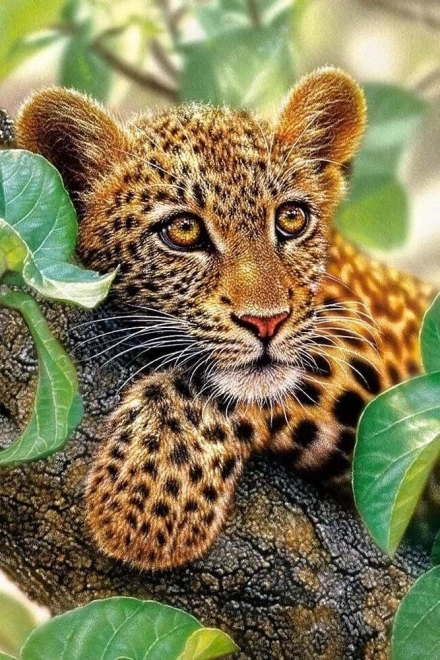 Sæt til diamantmaling - leopard