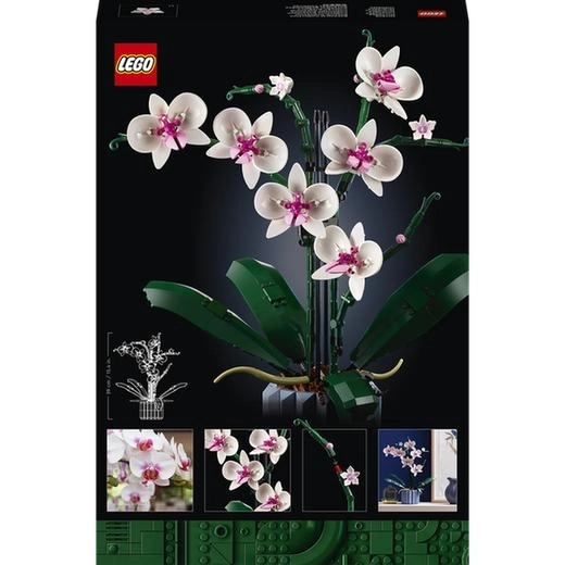 LEGO Icons 10311 Orkidé