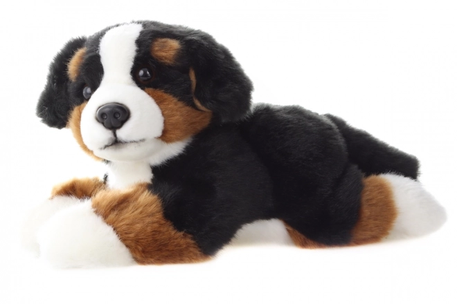 Plys Berner sennenhund 25 cm