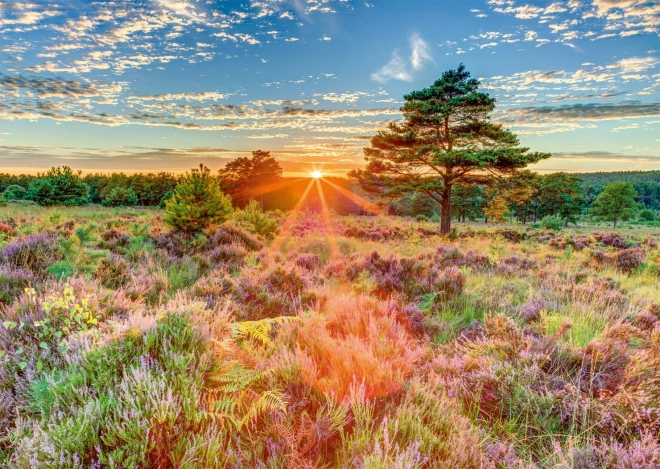 Puslespil Solnedgang på heden