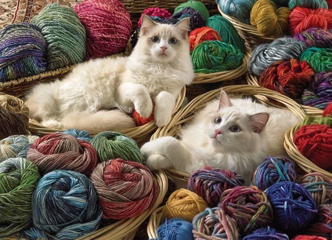 Puslespil Kat Ragdoll 1000 brikker Cobble Hill