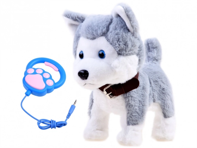 Interaktiv Huskyhund på snor