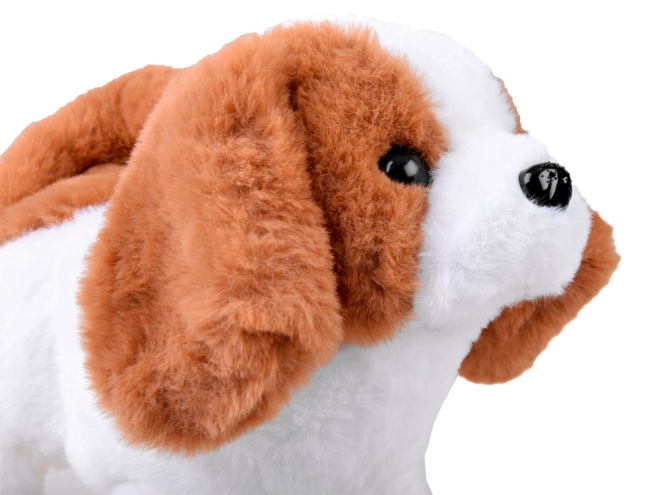 Sød plysbamse med realistiske funktioner