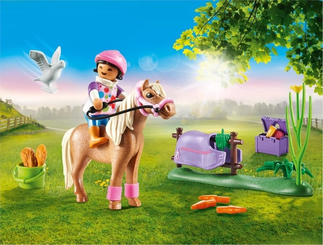 PLAYMOBIL® Country 70514 Samler Ponni Islandsk