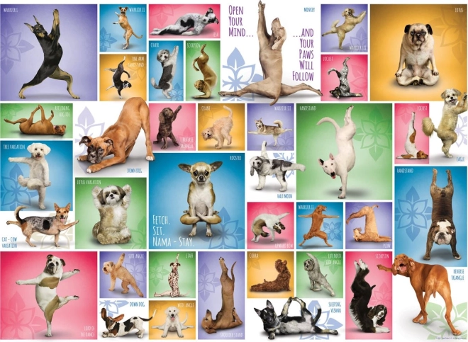Puzzle EUROGRAPHICS Hundeyoga 1000 brikker