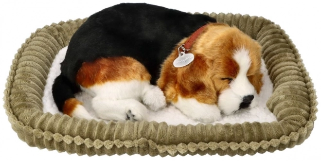 Åndende Beagle Hvalp Perfect Petzzz